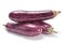 Purple eggplant