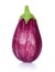 PURPLE eggplant