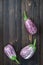 Purple eggplant from above on the old wooden board with free text space. Fresh harvest from the garden. T