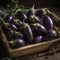 Purple Eggplants on a Wooden Tray