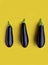 Purple eggplants on a yellow background trendy