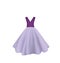 Purple elegant evening dress