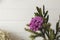 Purple exotic brunia flower and green branch in vase on background of white rustic wall