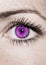 Purple Eye - Beautiful, Feminine