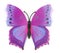 Purple fake butterfly isolated