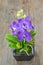 Purple fake orchid on wood background