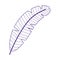 Purple feather cartoon isolated design icon white background