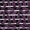 Purple Feather Pattern on Stripe Background