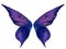 Purple Feathered Fairy Wings