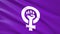 Purple Feminist Flag Waving video