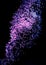 Purple fiber optics on dark background, looks like constellation in space