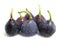 Purple Figs