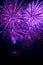 Purple fireworks