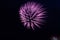 Purple Fireworks Bursting In A Black Sky