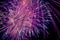 Purple fireworks in a dark sky. Purple festive firecracker. Bright purple, pink and orange firework display in the night sky.