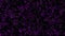 Purple floating cyber squares on black background loop. Slow chaotic pixels mosaic seamless animation