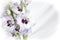 Purple floral bouquet isolated on white vignetting backdrop