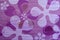 Purple floral pattern