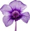 Purple flower. Close-up glowing translucent purple color flower. Generative AI.