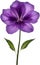 Purple flower. Close-up glowing translucent purple color flower. Generative AI.