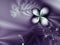 Purple Flower and diamonds Romantic Background