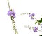 Purple flower : Duranta erecta L, Golden Dewdrop flowers.