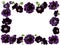 Purple flower frame border isolated. Gothic holiday floral frame