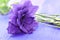 Purple flower lisianthus. Mother\'s Day background. Selective foc