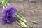 Purple flower lisianthus on rustic wooden background. Mother\'s D