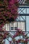 Purple flower ornamented window of a blue house