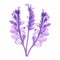 Purple Flower X-ray Illustration On White Background