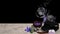 Purple flowers, bowl of flowers, pumice stone, qigong balls with