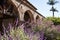 Purple Flowers and Brick Arches in the Courtyard of a Historic Spanish Mission Church in California USA During the Day