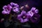 Purple flowers closeup dramatic. Generate Ai