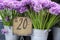 Purple flowers in a flower shop