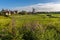 Purple flowers in the foreground of a view of the village of Cley and drainage channels in the marshes in Norfolk, UK