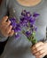 Purple flowers held by a woman`s hands