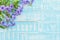 Purple Flowers on a pastel bright blue wooden background