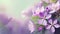 Purple flowers on pastel colors with soft stem for spring or summer