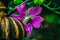 purple forest mallow flowers and buds, a bee on a flower