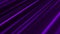 Purple fuchsia abstract oblique lines animated loopable background