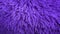 Purple furry shaggy texture background