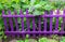 Purple Garden Fence