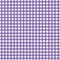 Purple Gingham