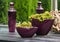 Purple glass bottles and vases with plants