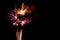 Purple, gold, and magenta fireworks celebrate Independence Day in Davis, California