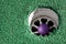 Purple Golf Ball