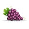 Purple grapes