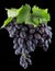 Purple grapes on a black background