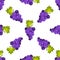 Purple grapes fruit seamless vector pattern